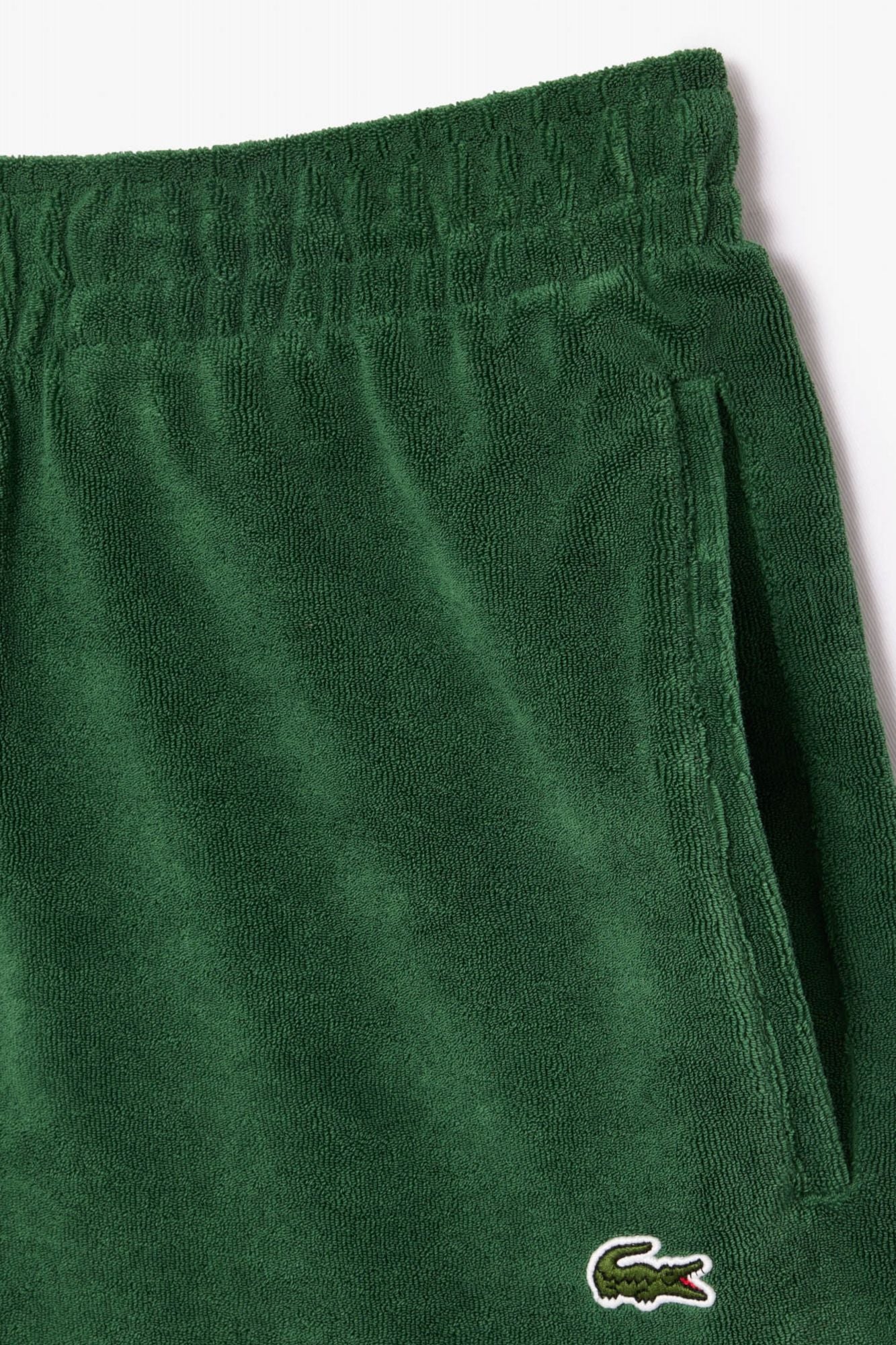 1000117170 - Image 2