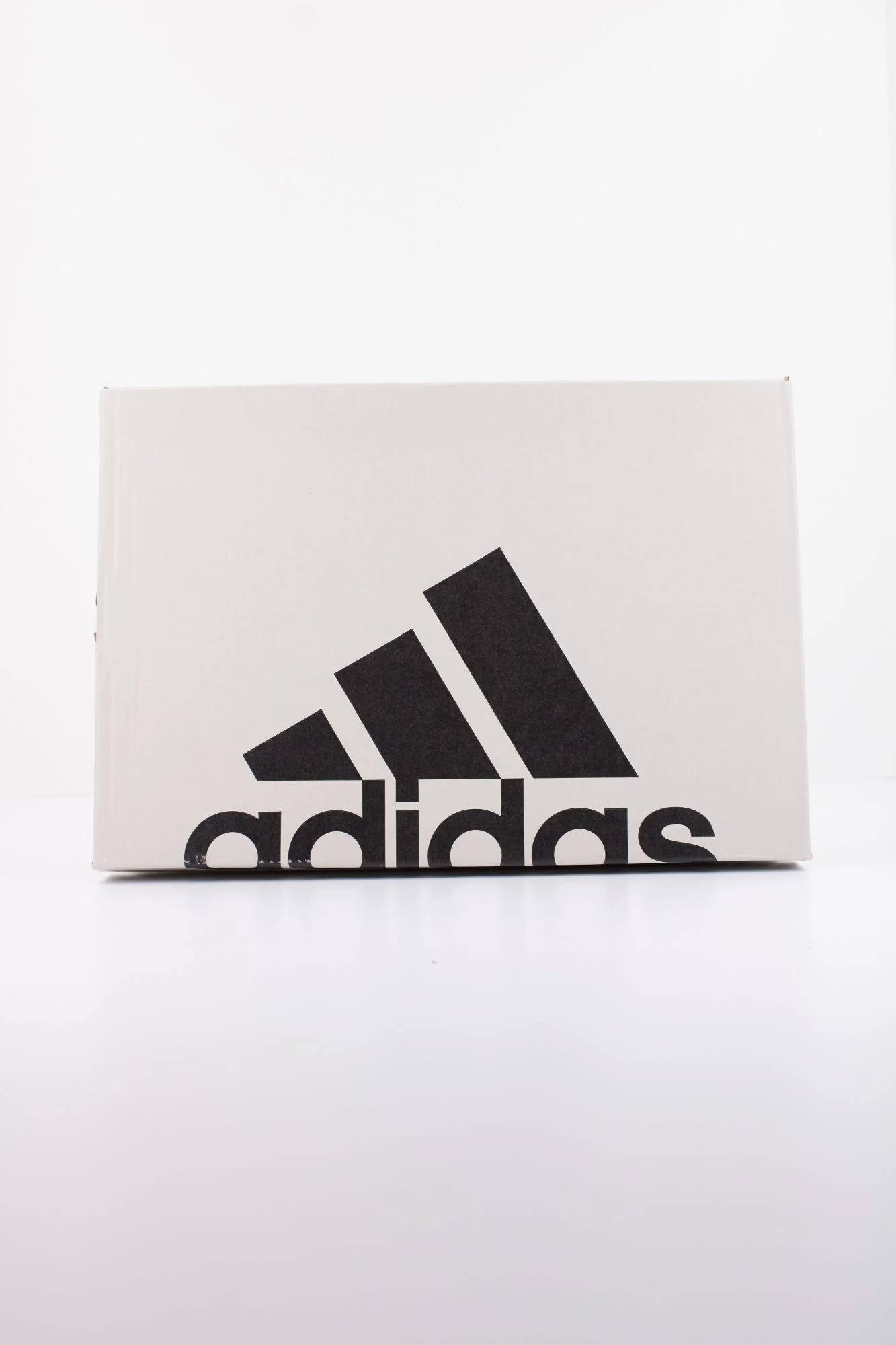 1000145073 - Image 6
