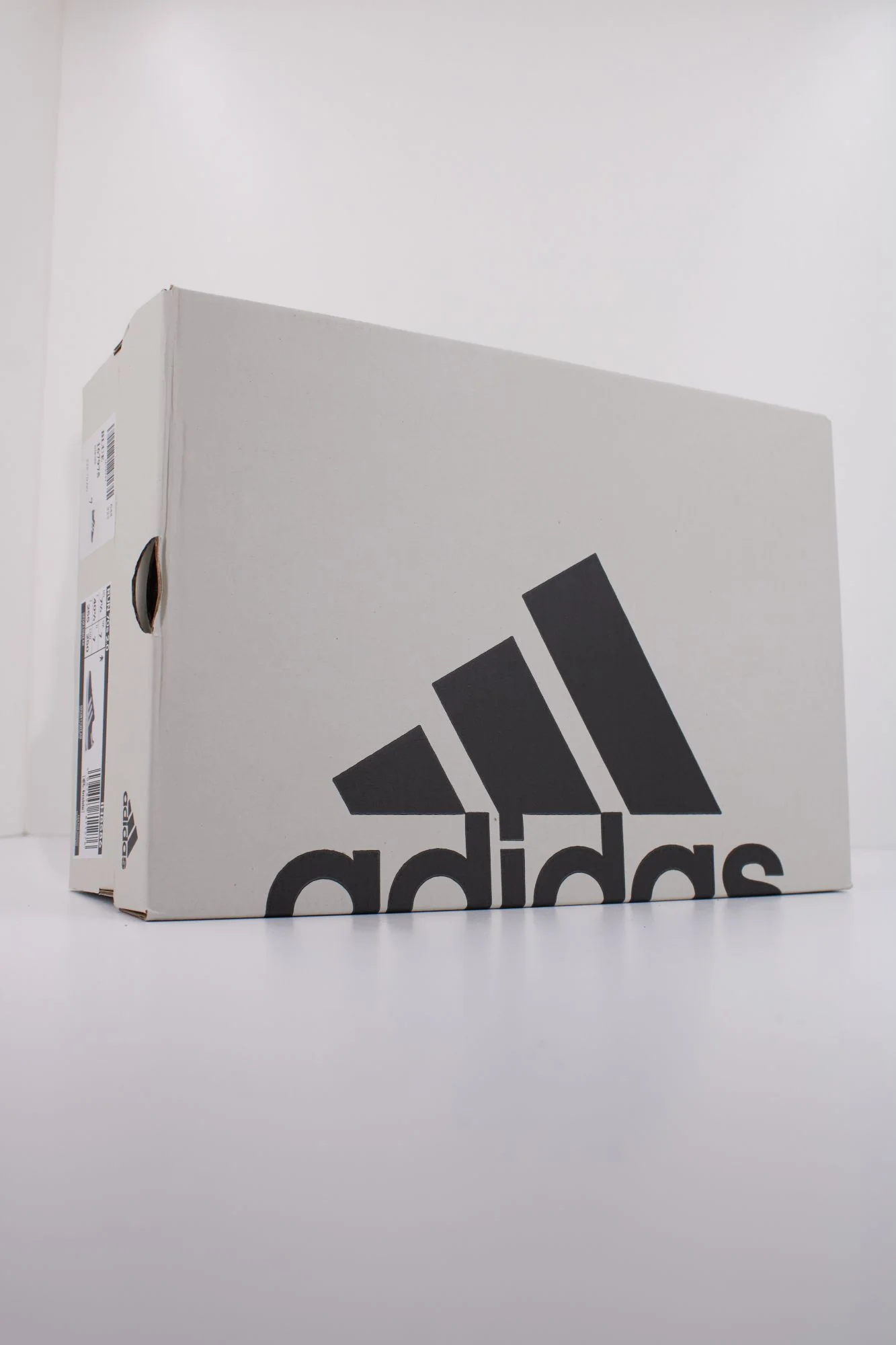 1000137510 - Image 6